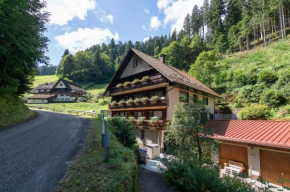 Ferienwohnungen Huber Bad Peterstal-Griesbach